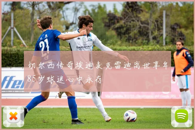 切尔西传奇埃迪麦克雷迪离世享年85岁球迷心中永存