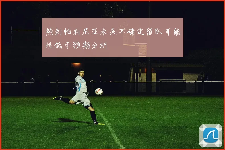 热刺帕利尼亚未来不确定留队可能性低于预期分析